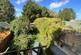 Additional image 38 of Canterbury Road, Birchington, CT7