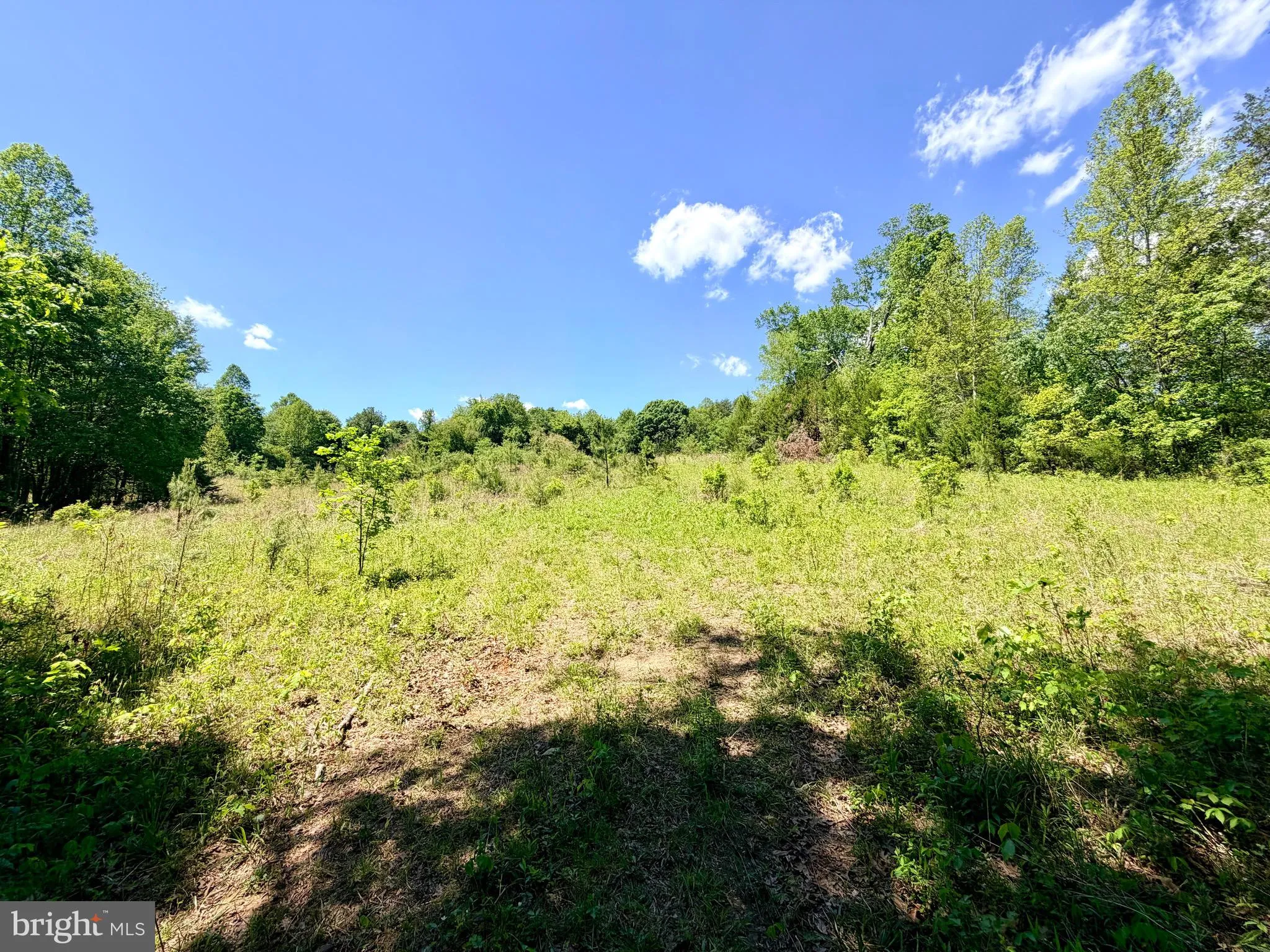 Additional image 8 of Lot 5 Autumn Ridge Lane, Unionville, VA 22567
