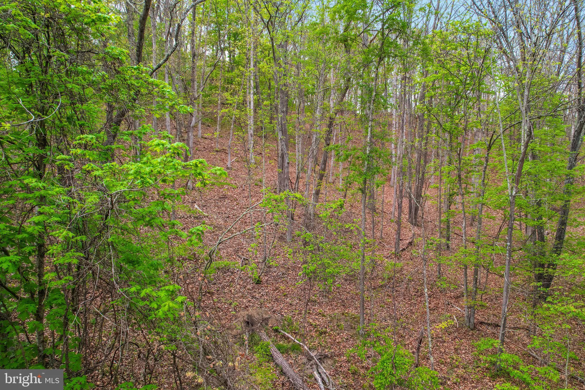 Additional image 25 of Bear Hill Road SE, Oldtown, MD 21555