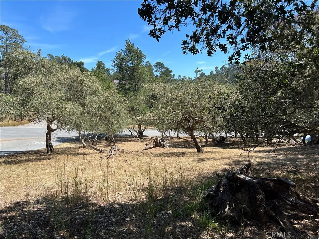 Additional image 14 of Pierce Avenue, Cambria, CA 93428