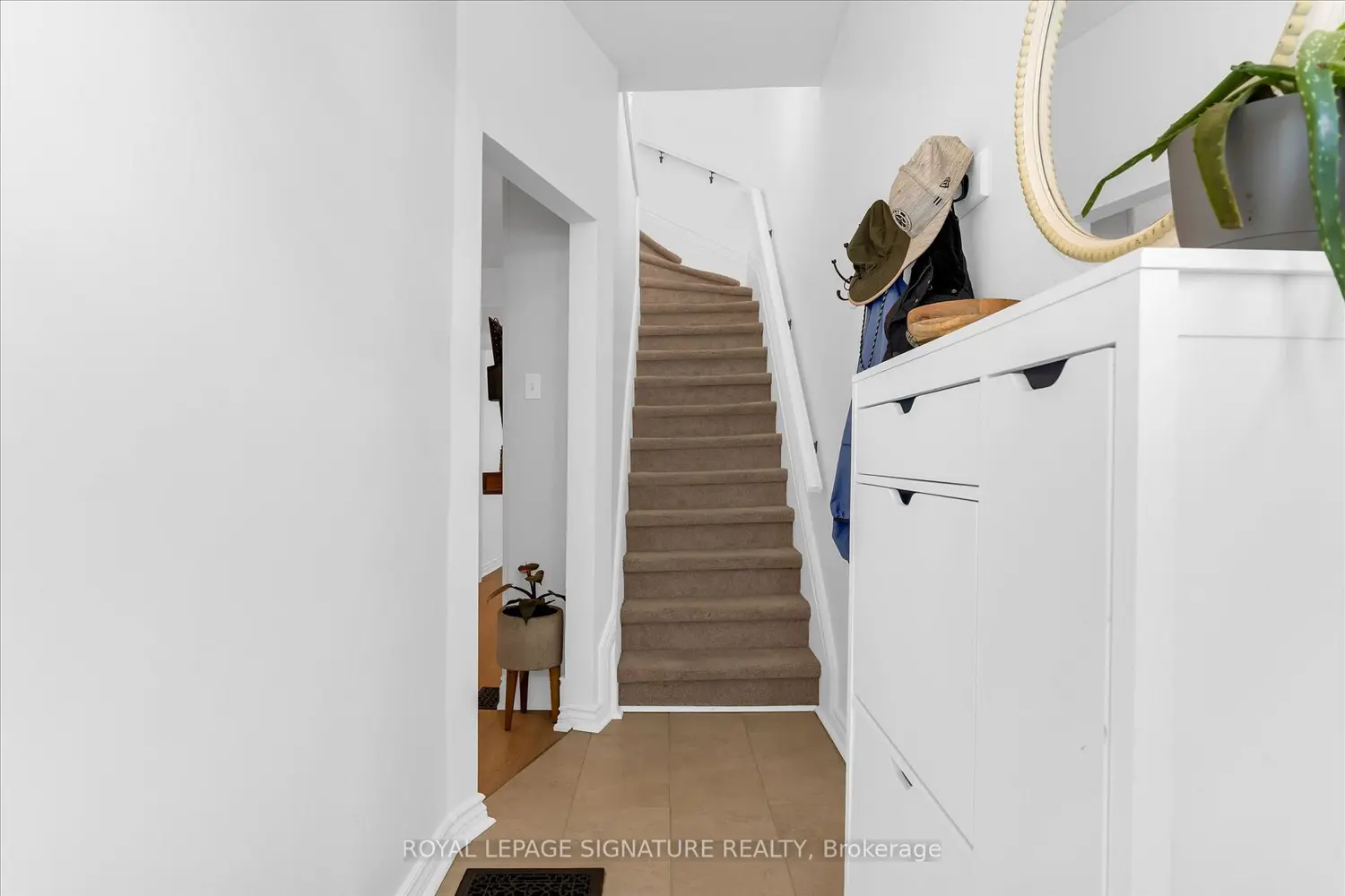 41 Elgin Street photo 3