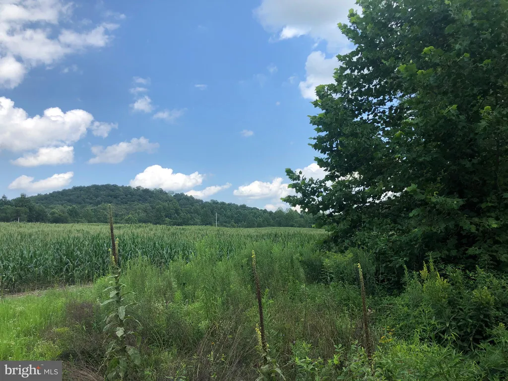 TBD Orange Rd., Aroda, VA 22709 photo 2