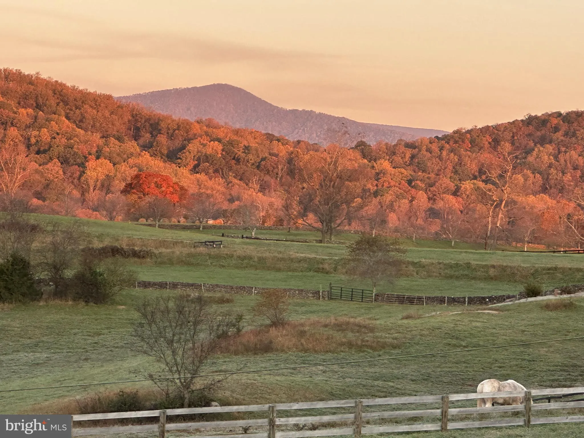 Additional image 137 of 23 White Horse Hill Lane, Amissville, VA 20106
