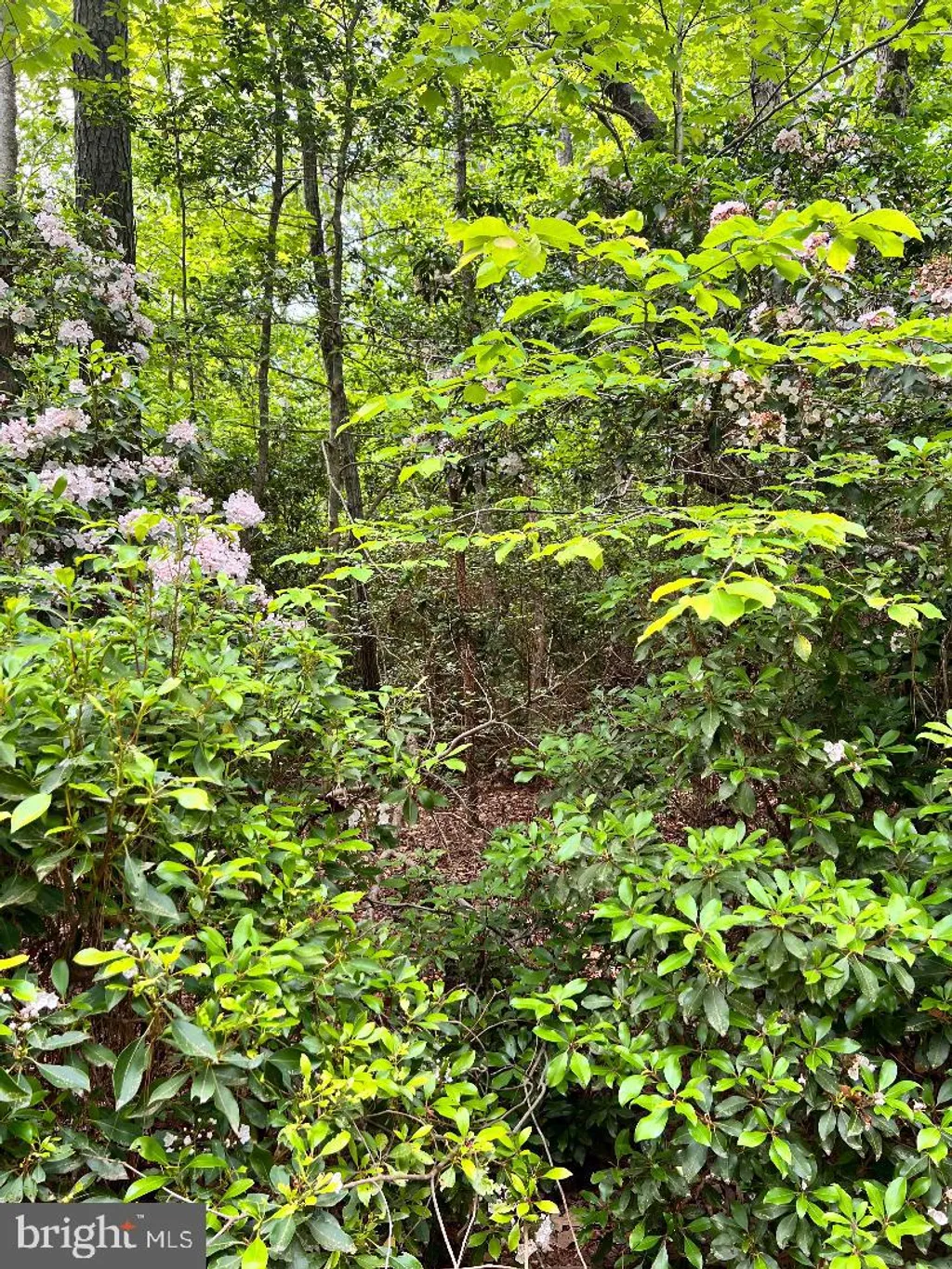 High Point Ln, Heathsville, VA 22473 photo 2