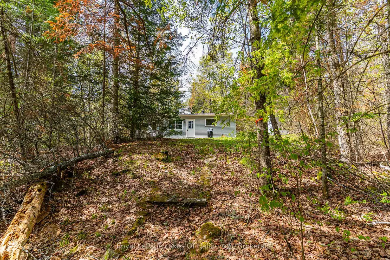 Additional image 11 of 1099 Yellow Rock Drive