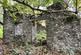 Additional image 87 of Cellan, Lampeter, SA48