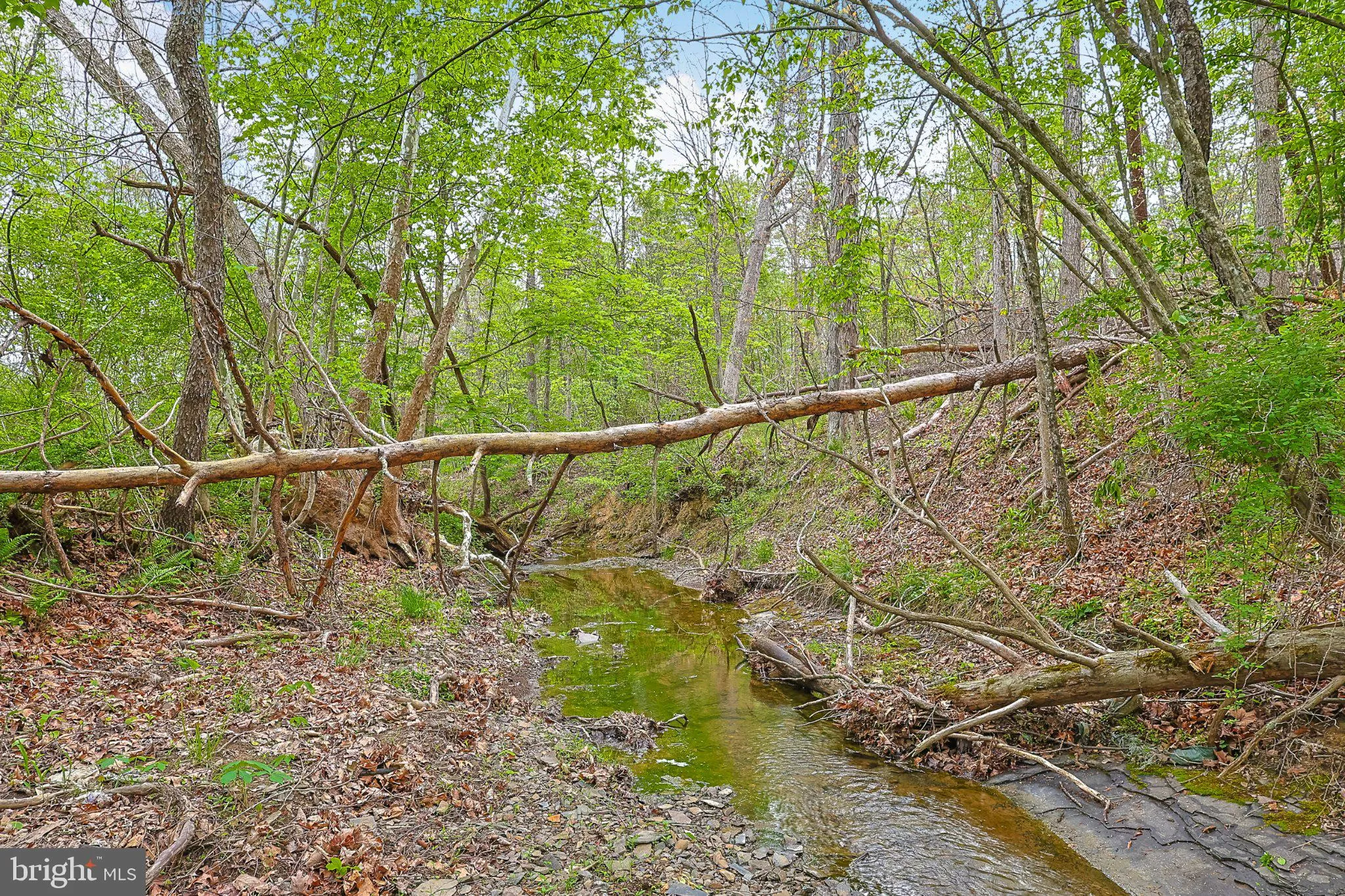 Additional image 26 of Bear Hill Road SE, Oldtown, MD 21555