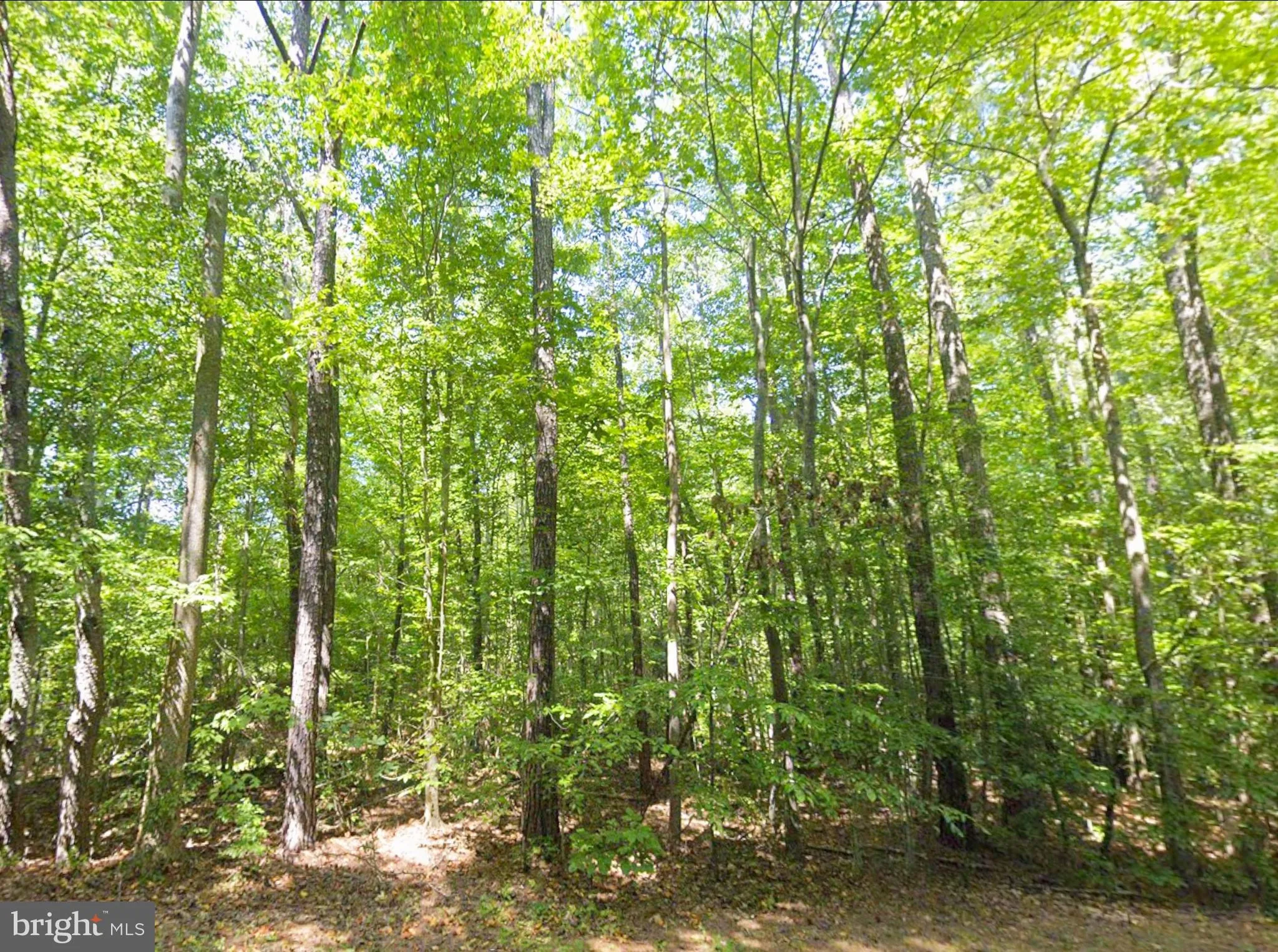 Additional image 16 of 8944 Jessie Dupont Memorial Highway, Kilmarnock, VA 22482