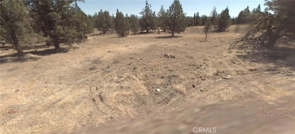 Pheasant Drive, Alturas, CA 96101