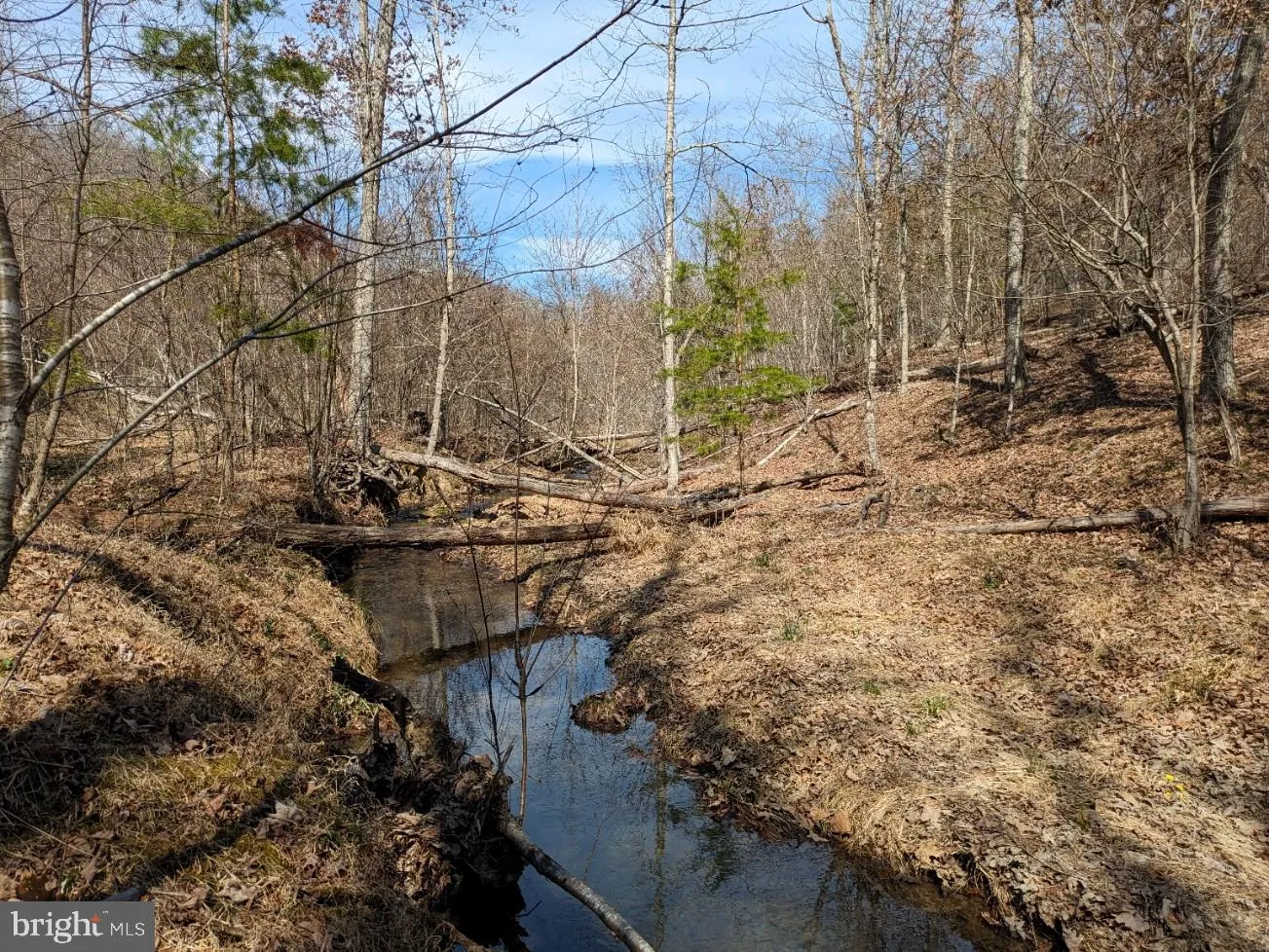 Additional image 19 of Bear Hill Road SE, Oldtown, MD 21555