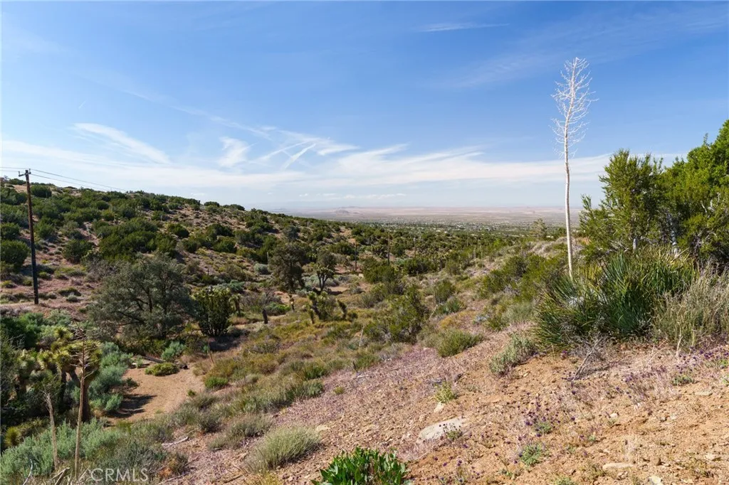 Silver Rock, Pinon Hills, CA 92372 photo 3