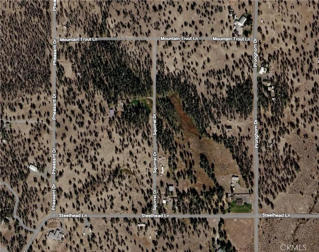 Pheasant Drive, Alturas, CA 96101 photo 3
