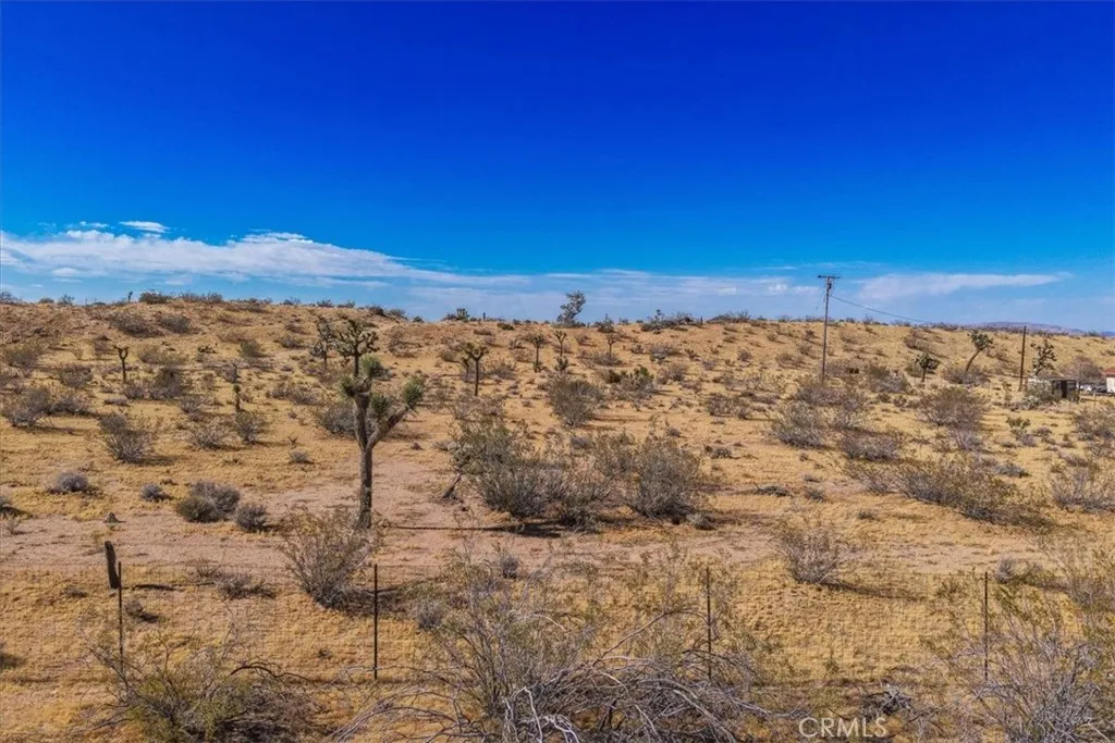 56666 Lowe Avenue, Yucca Valley, CA 92284 photo 3