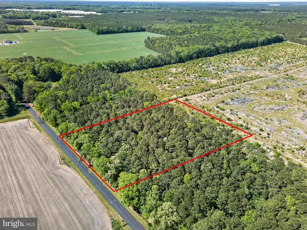 Downs, Newark, MD 21841