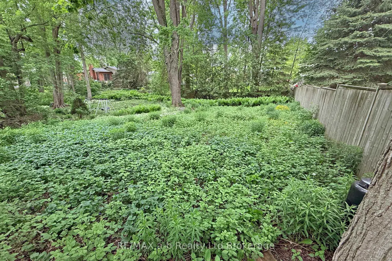 Additional image 16 of 213 Belgrave Street