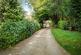 Birches Lane, Gomshall, Guildford, Surrey, GU5 photo 3