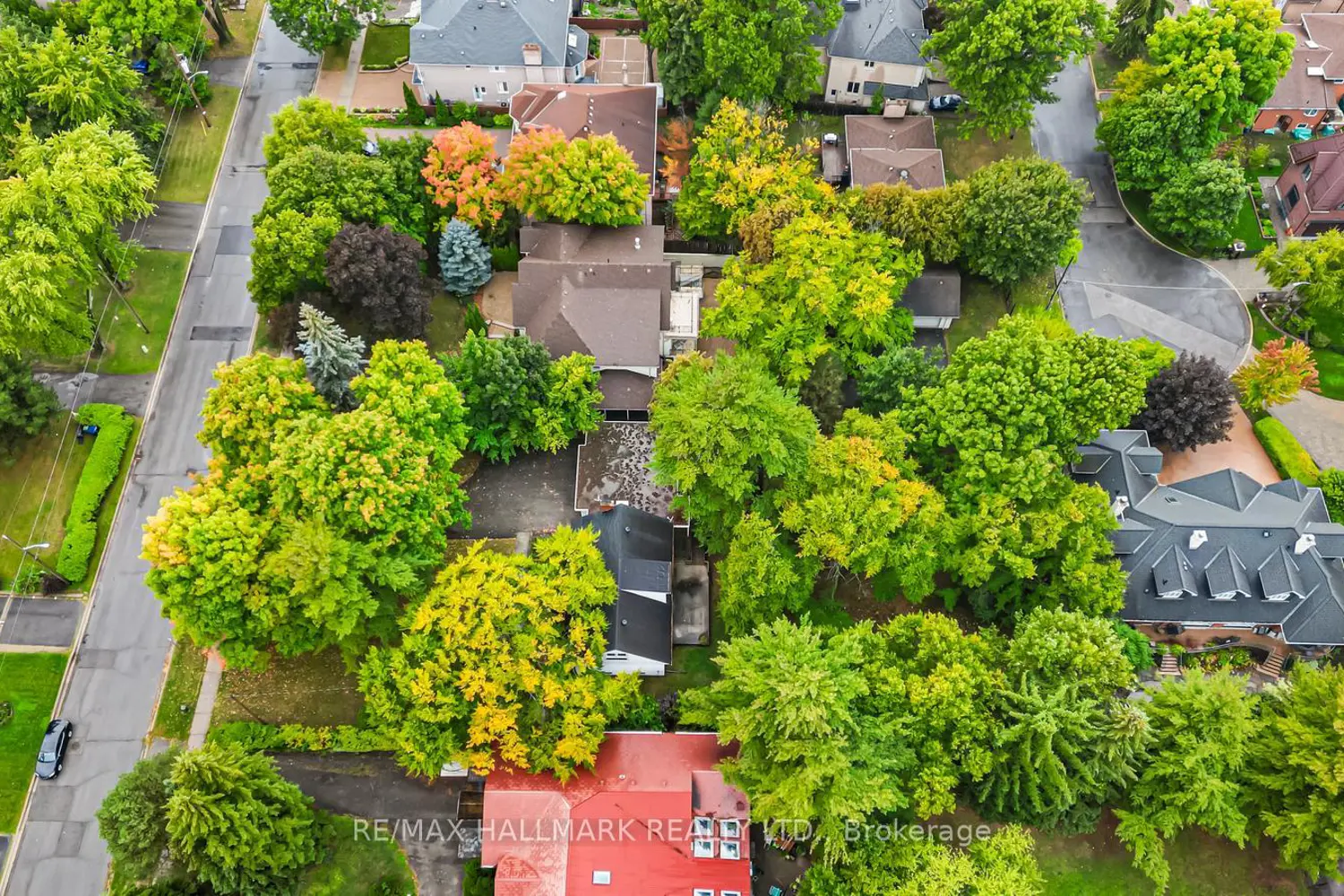 Additional image 19 of 344 Spring Garden Avenue