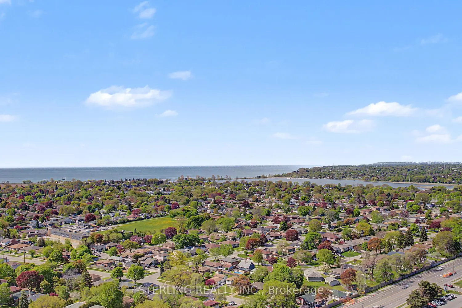 Additional image 5 of 1455 Celebration Drive 2803
