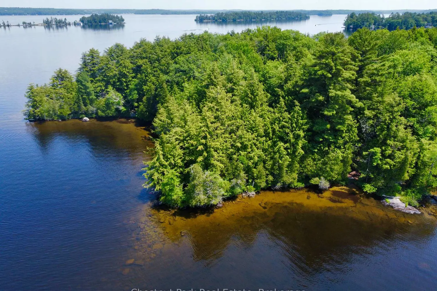 1 Cedar Island photo 2