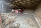 Additional image 6 of Barn Conversion, North Fen, Morton