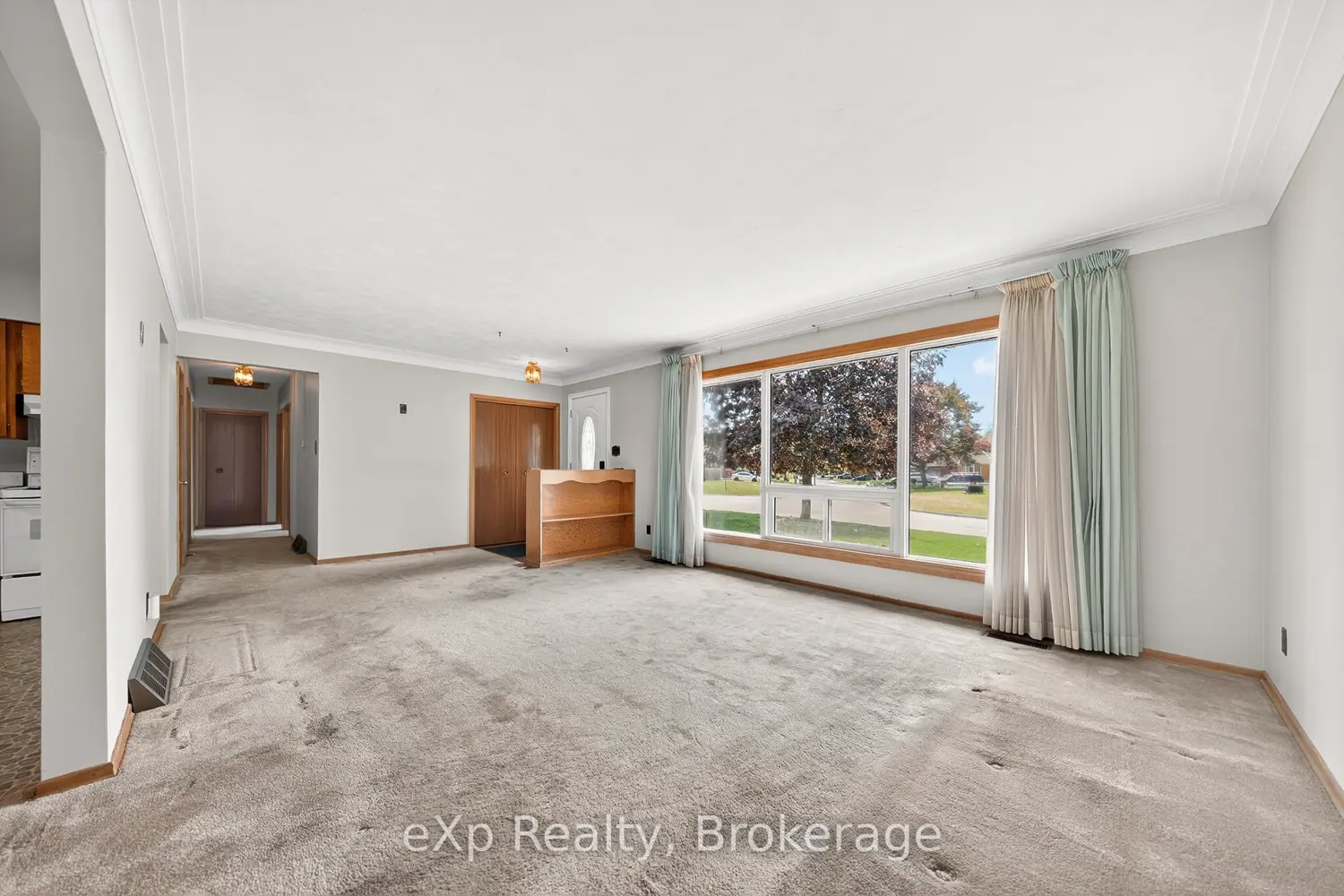 53 Woodland Drive photo 5