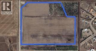 Shade Tree 96 Acres