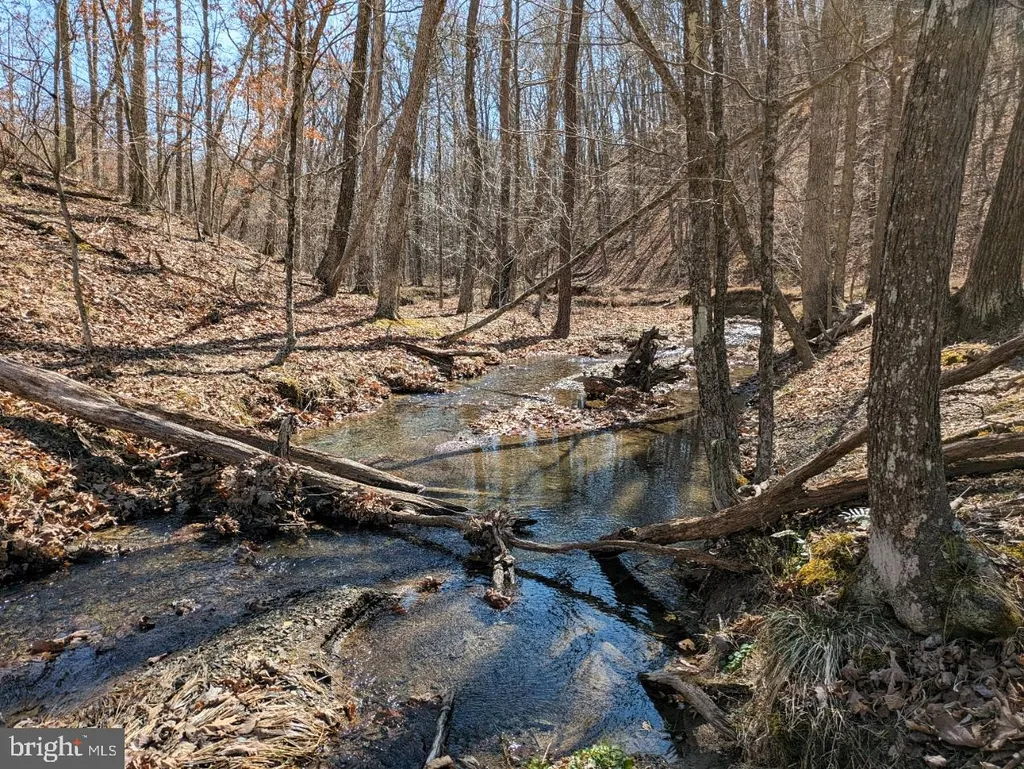 Additional image 6 of Bear Hill Road SE, Oldtown, MD 21555
