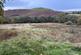 Additional image 91 of Cellan, Lampeter, SA48