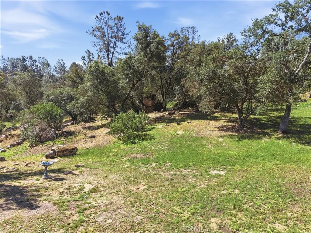Additional image 47 of 42704 Deep Forest Dr, Coarsegold, CA 93614
