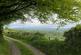 Llanfynydd SA32 photo 3