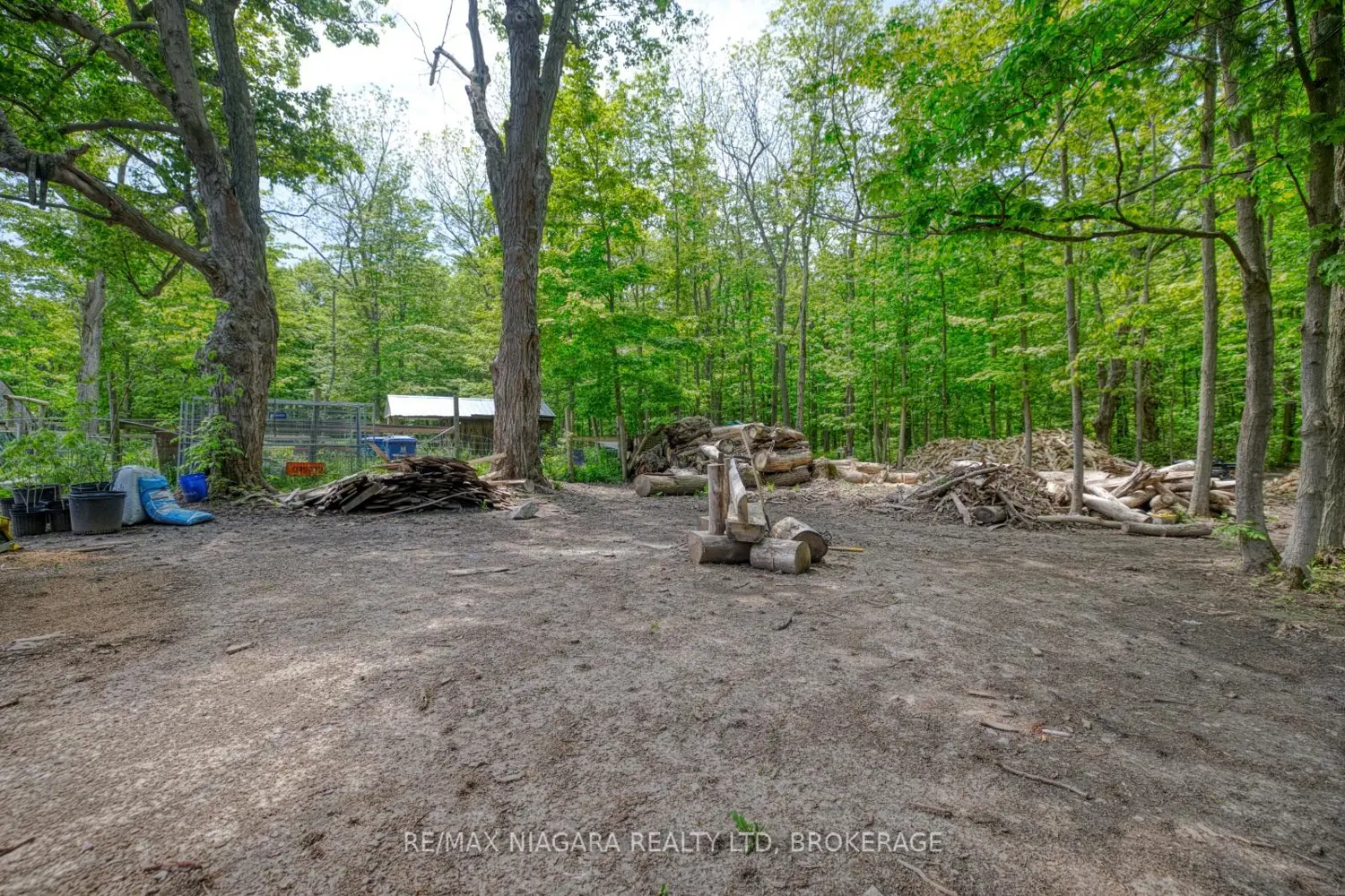 662 Empire Road photo 5