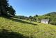 Capel Dewi, Llandysul, SA44 photo 3