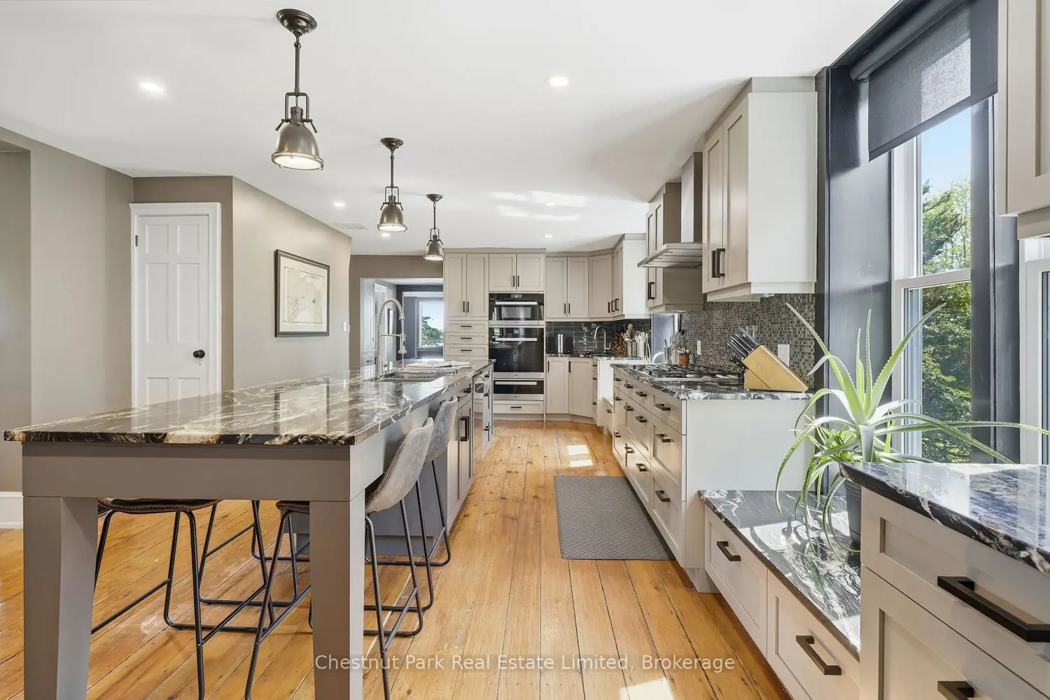 14819 Loyalist Parkway photo 4