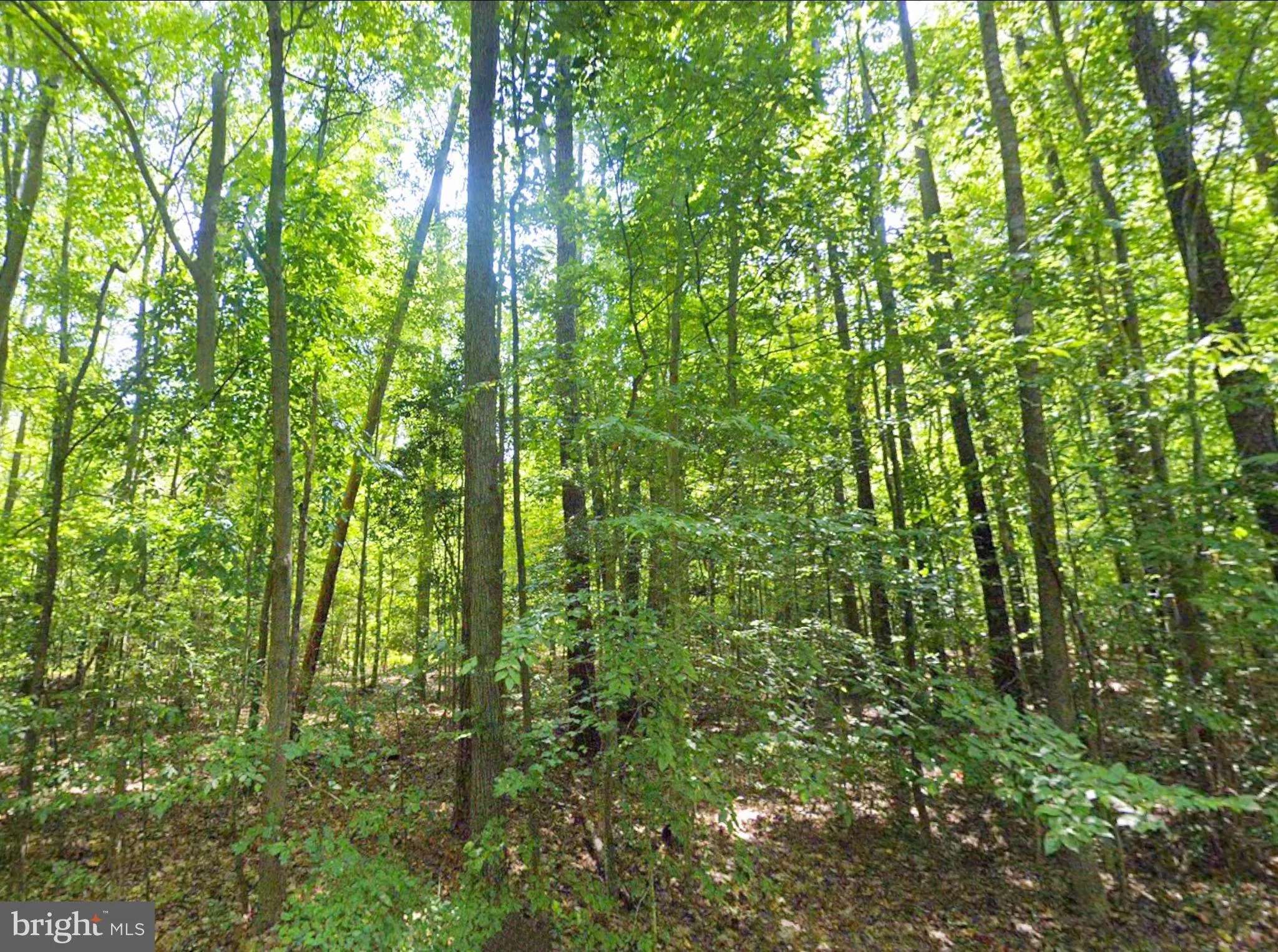 Additional image 21 of 8944 Jessie Dupont Memorial Highway, Kilmarnock, VA 22482