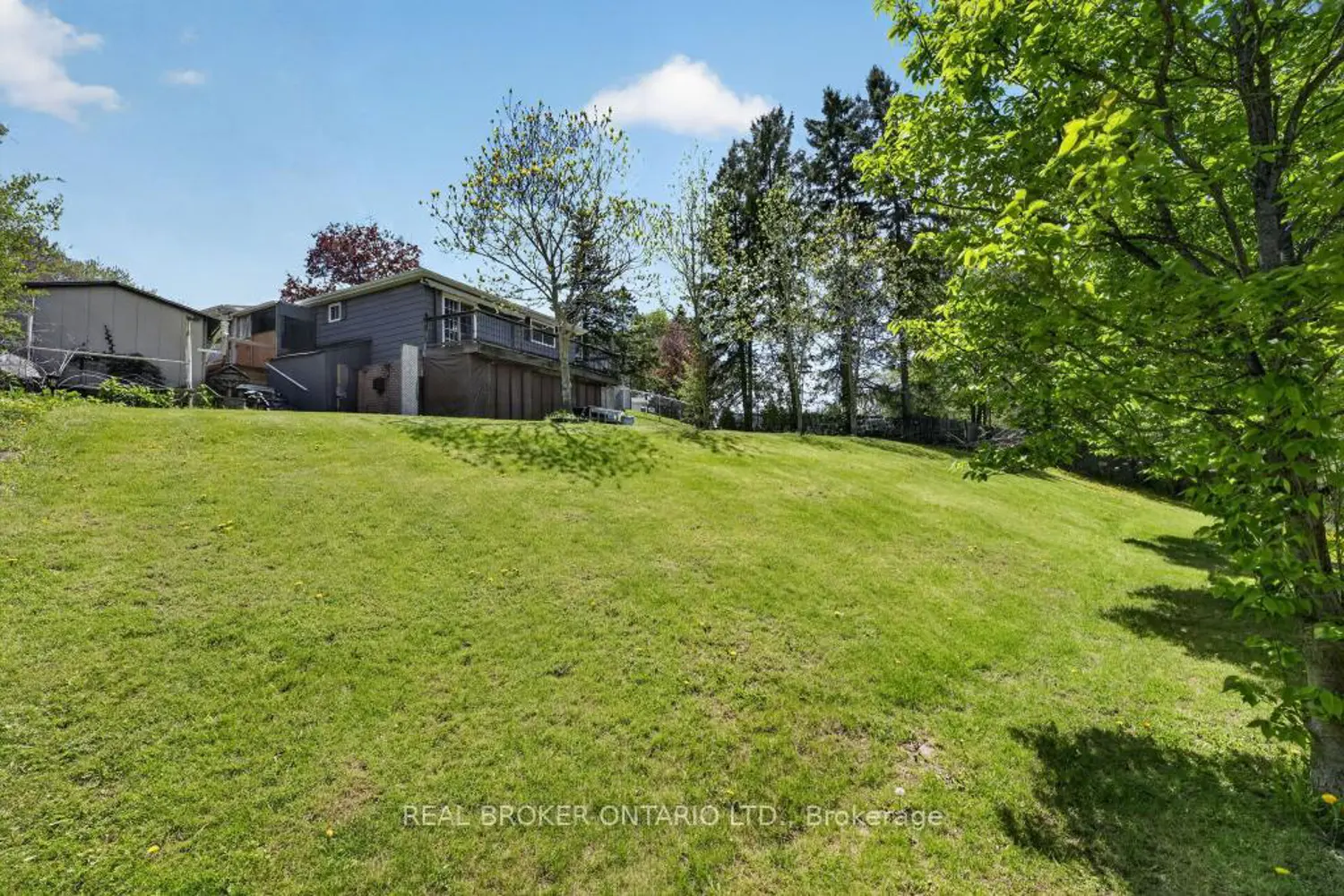 55 Sunrise Crescent photo 3