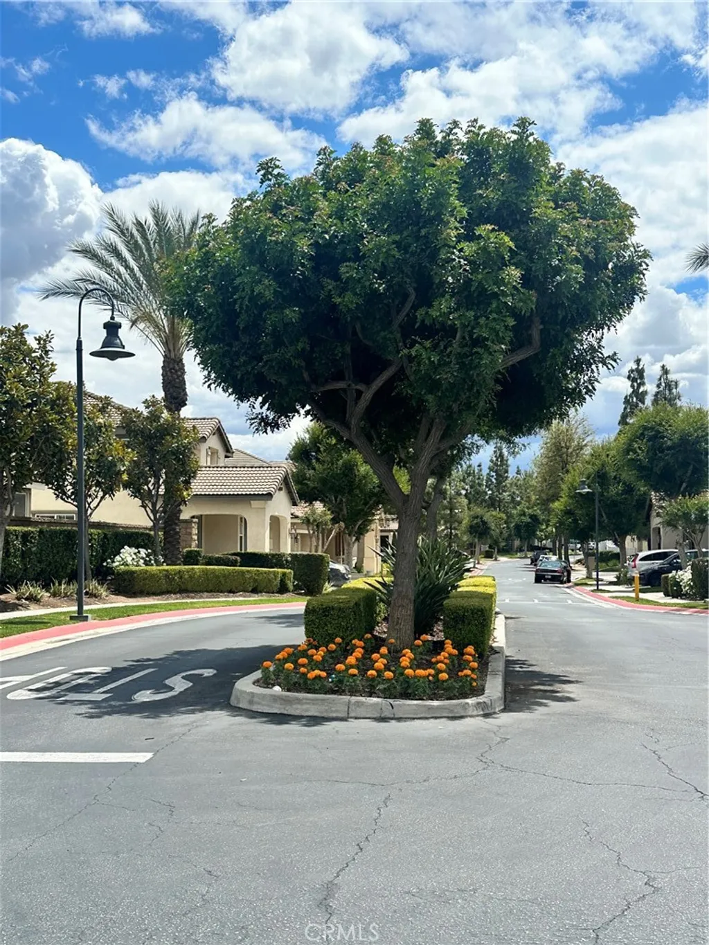 1646 Palermo Dr, Riverside, CA 92507