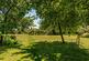 Additional image 40 of Birches Lane, Gomshall