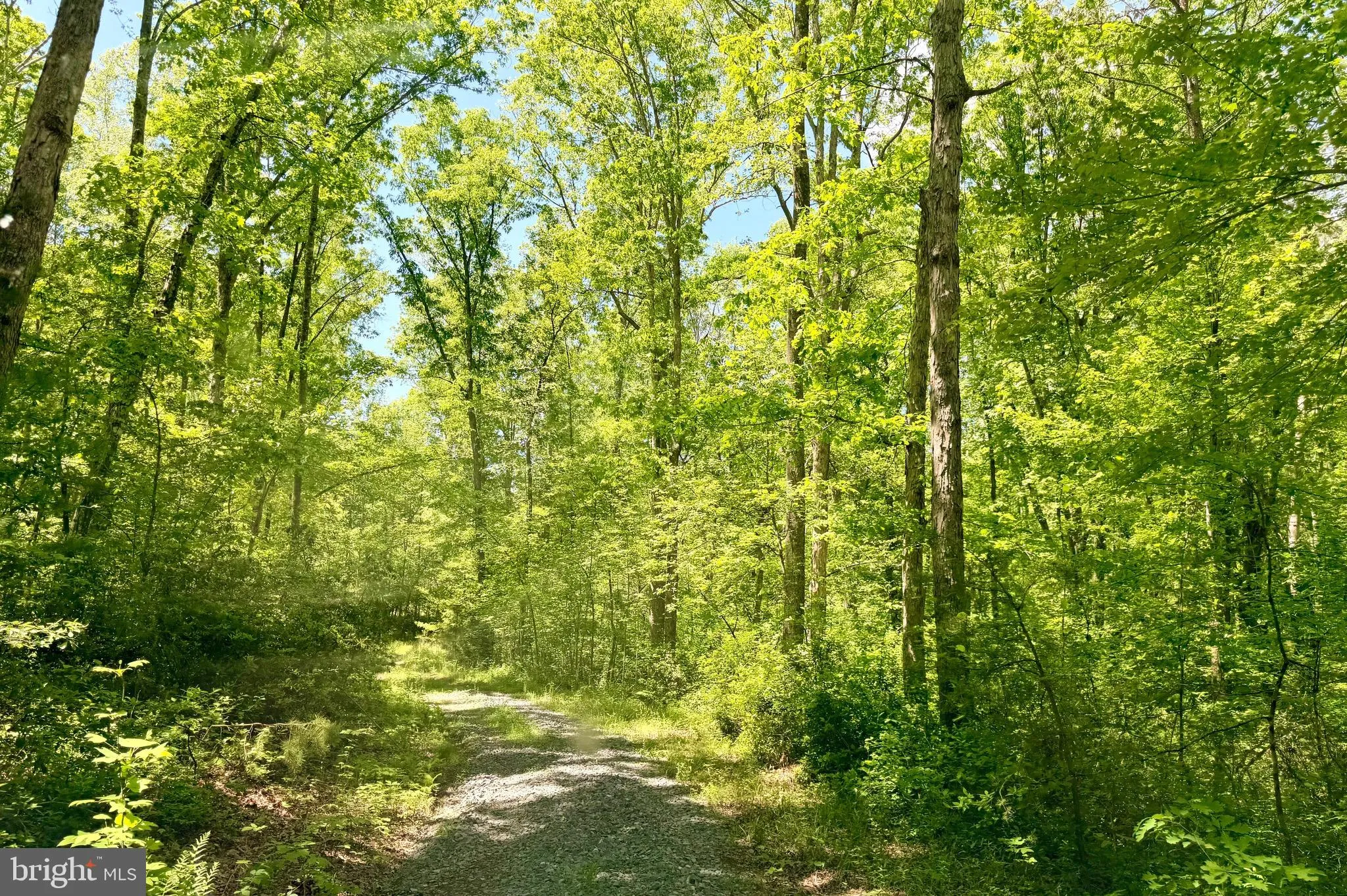Additional image 7 of Lot 5 Autumn Ridge Lane, Unionville, VA 22567