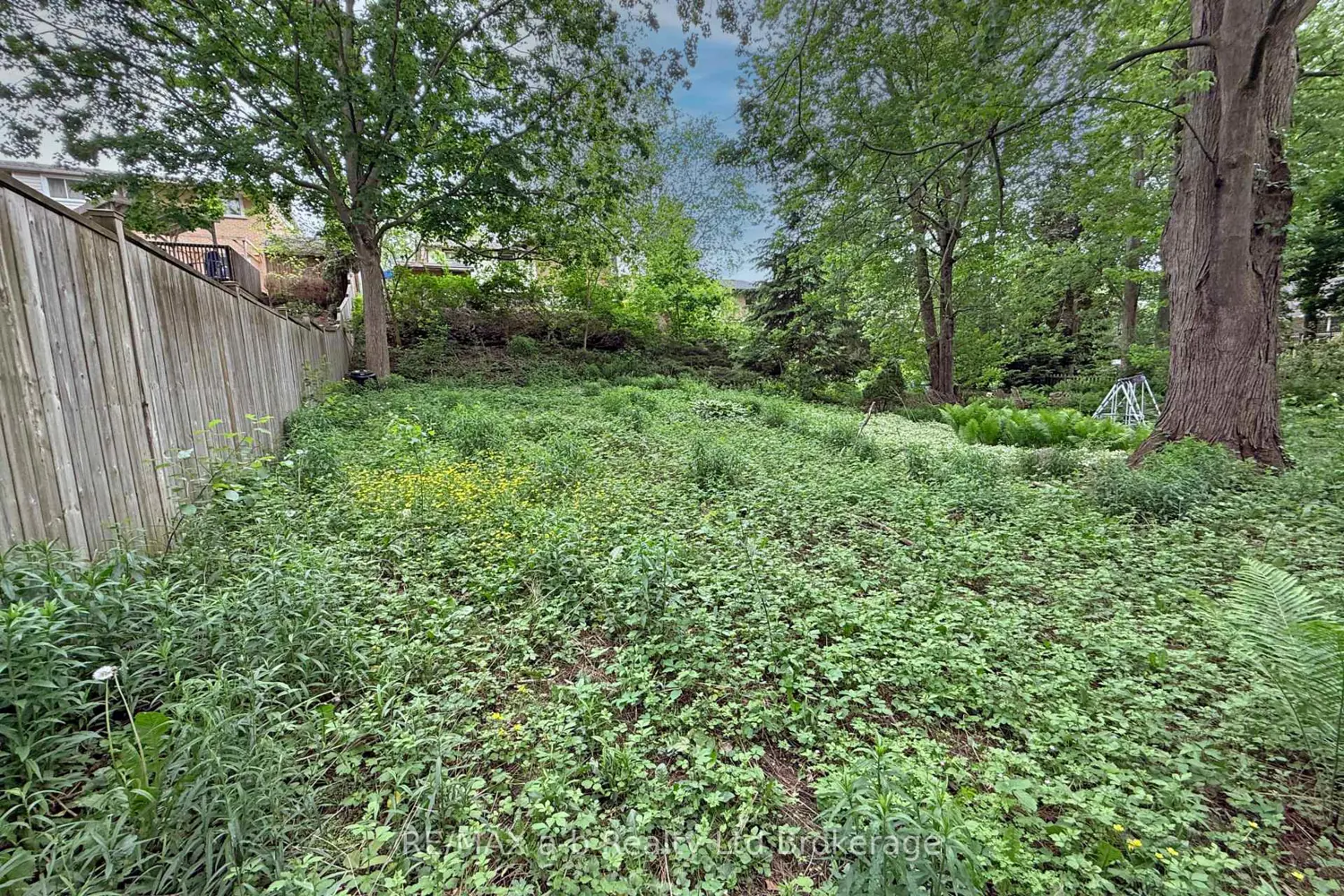 Additional image 15 of 213 Belgrave Street