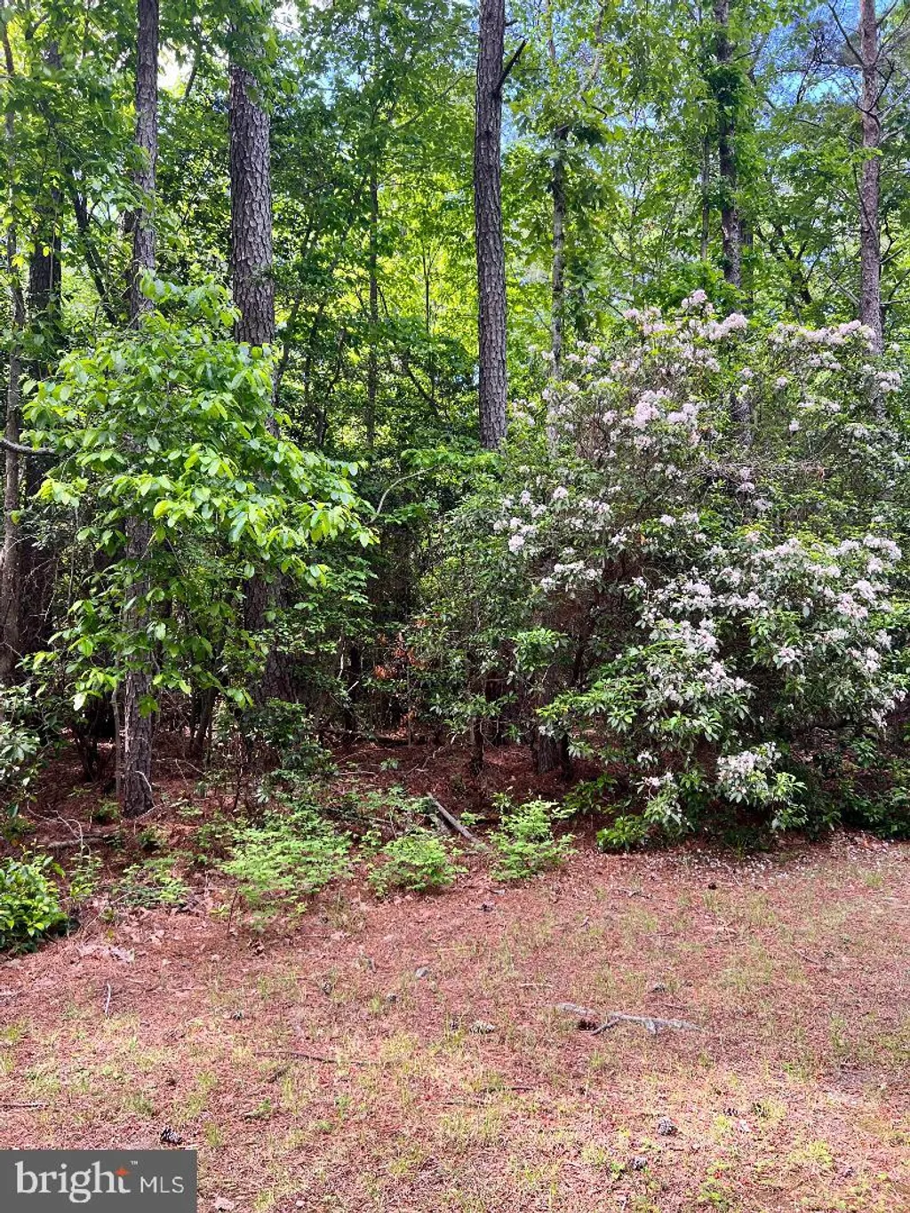 High Point Ln, Heathsville, VA 22473 photo 3