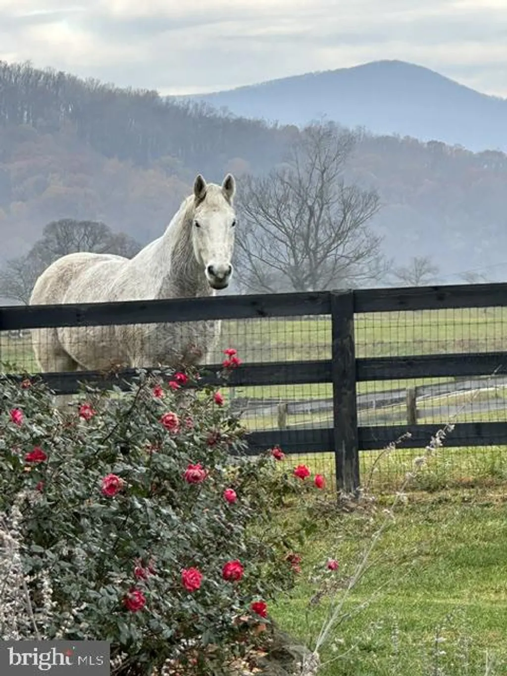 Additional image 62 of 23 White Horse Hill Lane, Amissville, VA 20106