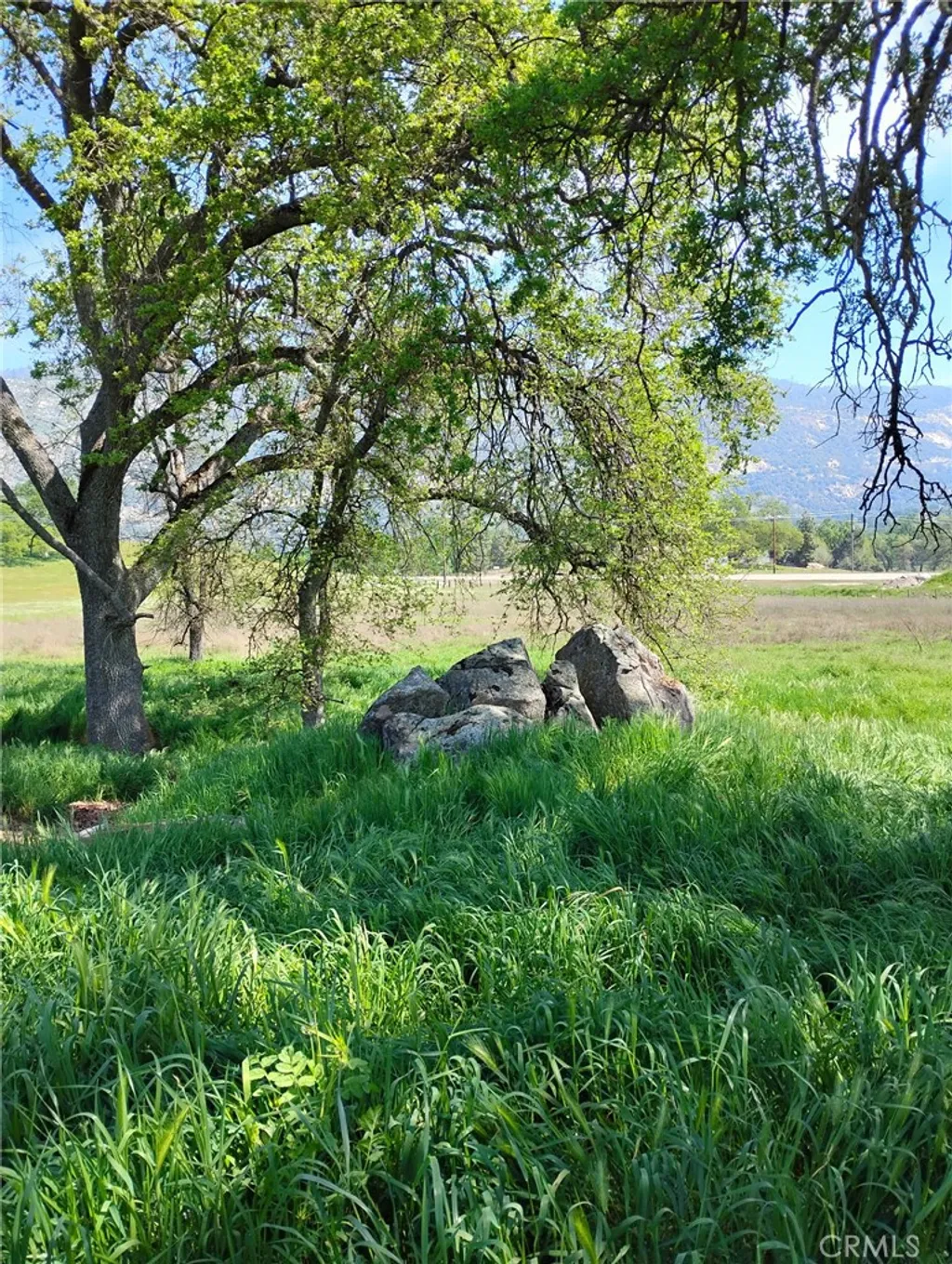 35400 Spanish Oak Rd, Auberry, CA 93602