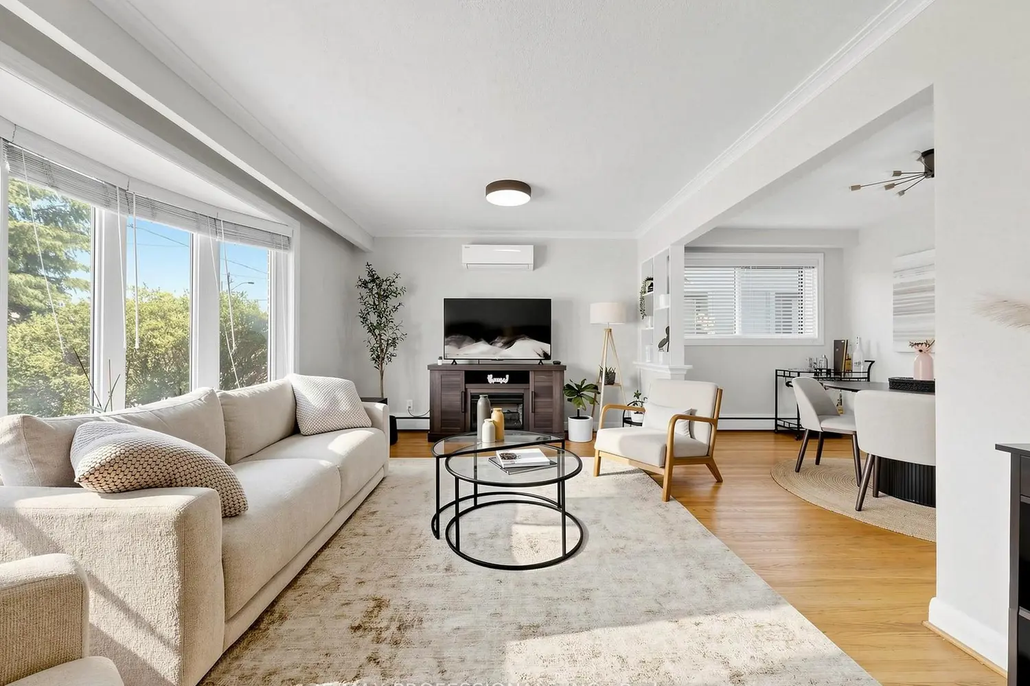 50 Elinor Avenue