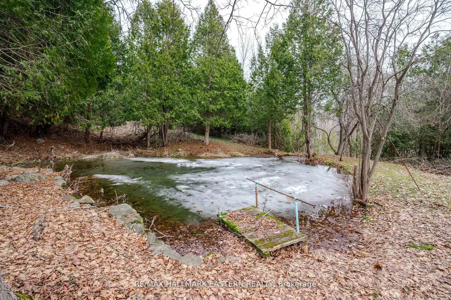 521 Concession Rd 8