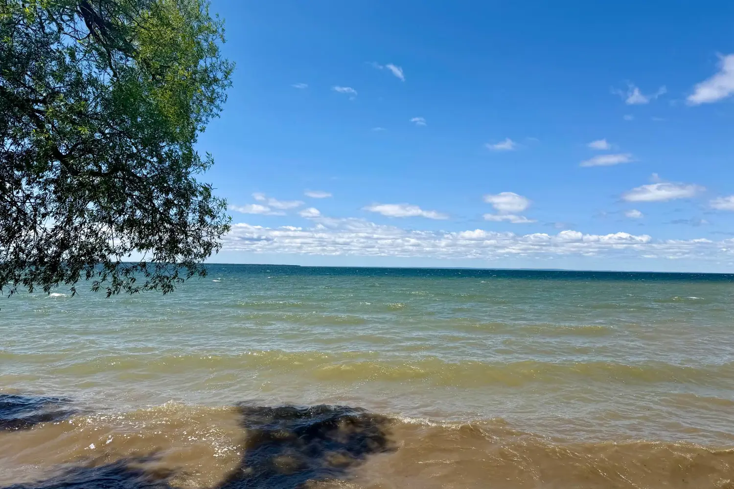 25630 Maple Beach Road photo 5