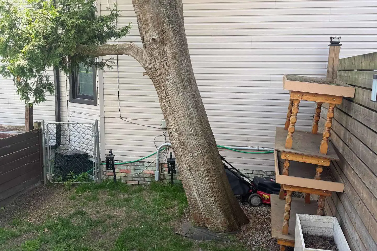 Additional image 8 of 106 Donlands Avenue