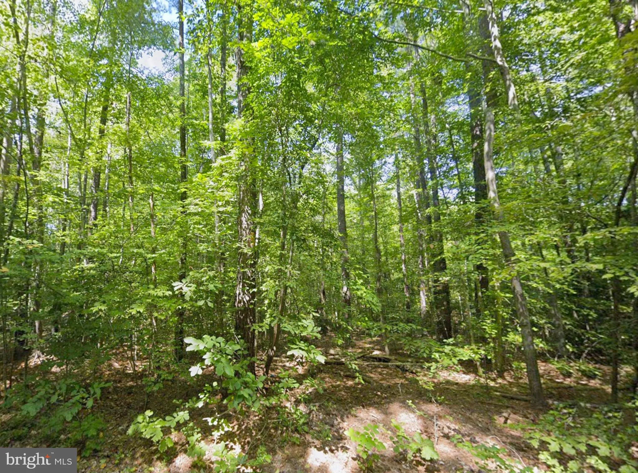 Additional image 18 of 8944 Jessie Dupont Memorial Highway, Kilmarnock, VA 22482