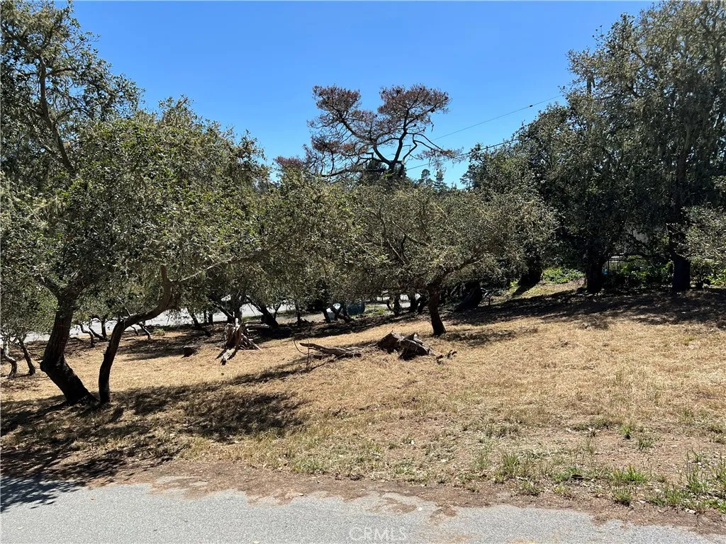 Additional image 16 of Pierce Avenue, Cambria, CA 93428