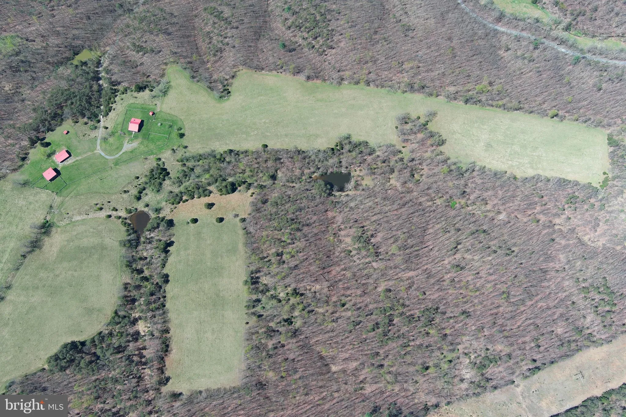 Additional image 295 of 453 Wheaton Drive, Purgitsville, WV 26852