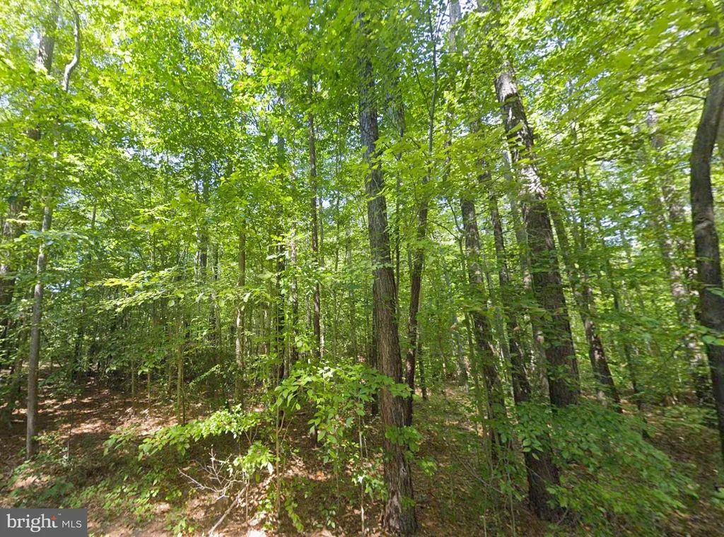 Additional image 3 of 8944 Jessie Dupont Memorial Highway, Kilmarnock, VA 22482